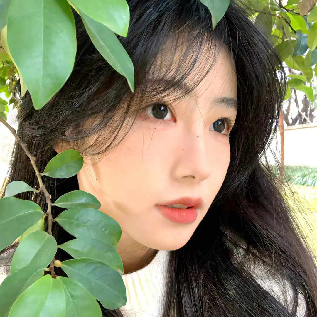 熊熊大冒险